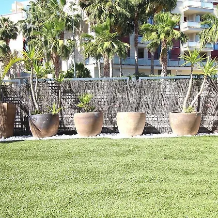 Elegance 55 Apartment *